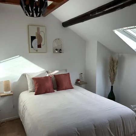Le P'tit Millésime - Hypercentre Apartamento