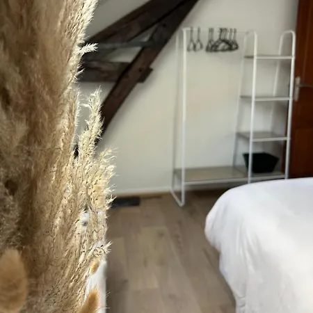 Le P'tit Millesime - Hypercentre Daire