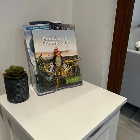 Apartamento Le P'tit Millésime - Hypercentre *