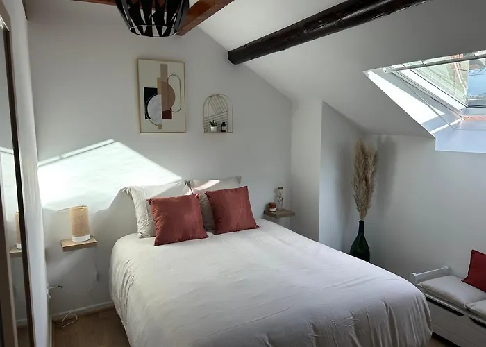 Le P'tit Millesime - Hypercentre Apartment