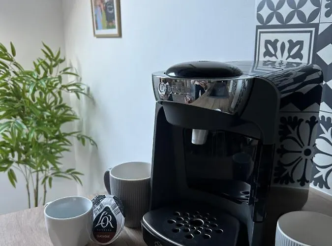 Le P'tit Millesime - Hypercentre Apartment Epernay