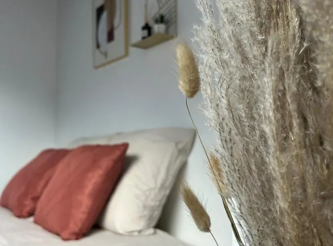 Le P'tit Millesime - Hypercentre Apartment Epernay